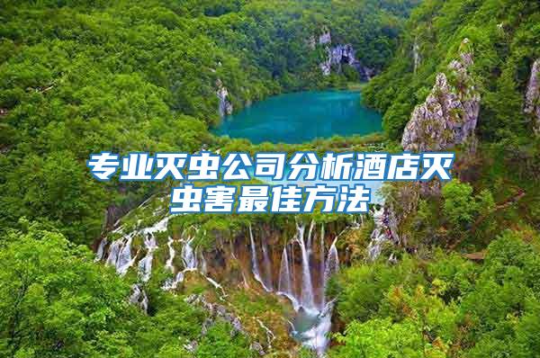 專業(yè)滅蟲公司分析酒店滅蟲害最佳方法