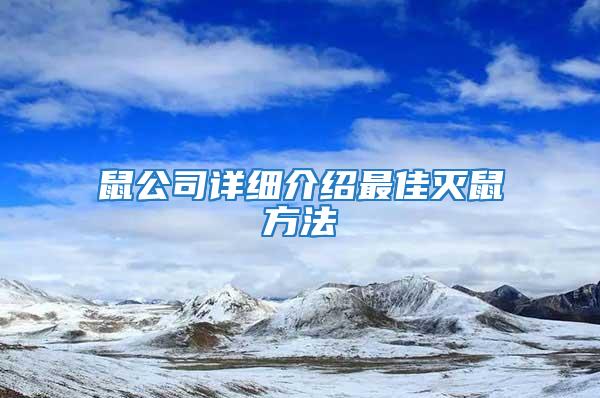 鼠公司詳細(xì)介紹最佳滅鼠方法