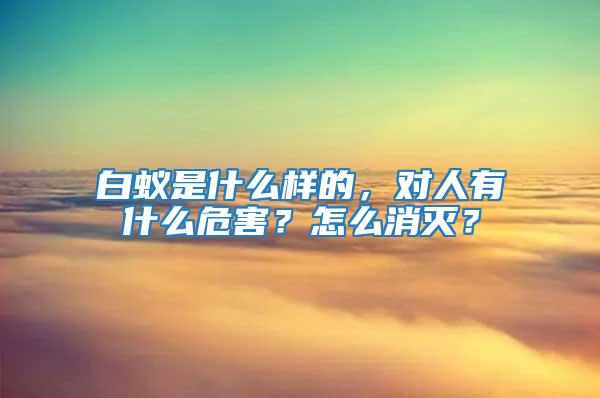 白蟻是什么樣的，對人有什么危害？怎么消滅？