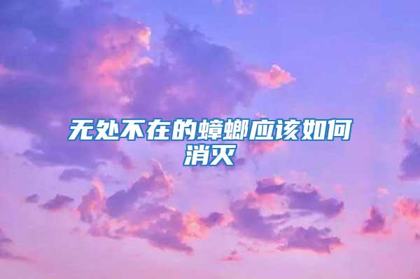 無處不在的蟑螂應(yīng)該如何消滅