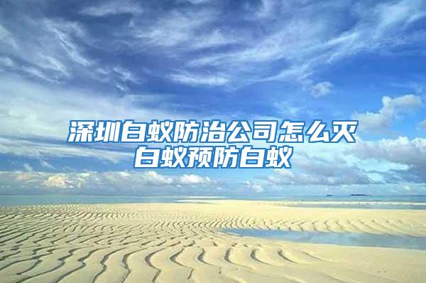 深圳白蟻防治公司怎么滅白蟻預(yù)防白蟻