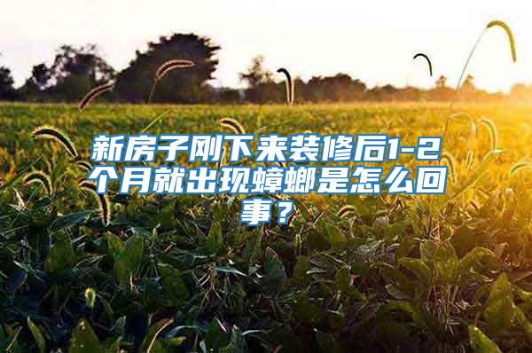 新房子剛下來裝修后1-2個月就出現(xiàn)蟑螂是怎么回事？