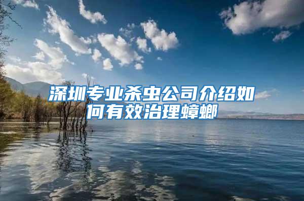 深圳專業(yè)殺蟲公司介紹如何有效治理蟑螂