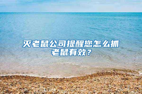 滅老鼠公司提醒您怎么抓老鼠有效？