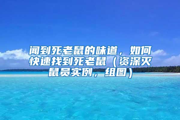 聞到死老鼠的味道，如何快速找到死老鼠（資深滅鼠員實(shí)例，組圖）