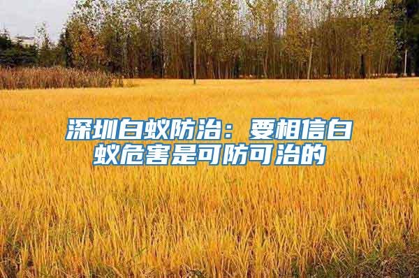 深圳白蟻防治：要相信白蟻危害是可防可治的