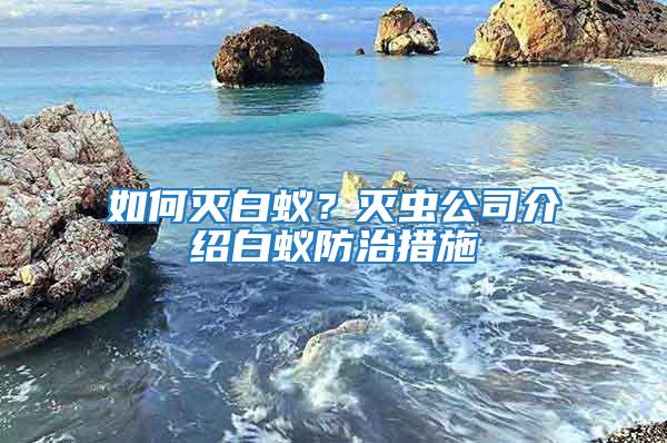 如何滅白蟻？滅蟲公司介紹白蟻防治措施