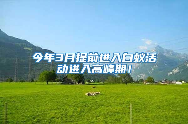 今年3月提前進(jìn)入白蟻活動(dòng)進(jìn)入高峰期！