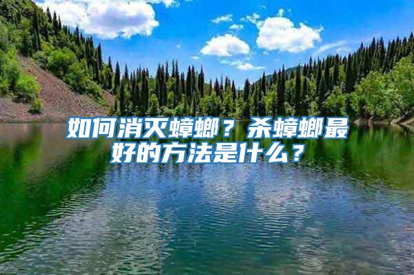 如何消滅蟑螂？殺蟑螂最好的方法是什么？