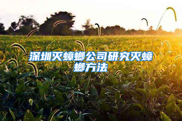 深圳滅蟑螂公司研究滅蟑螂方法