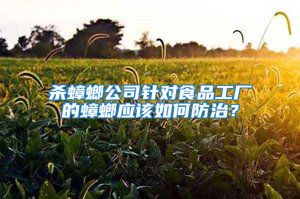 殺蟑螂公司針對(duì)食品工廠的蟑螂應(yīng)該如何防治？