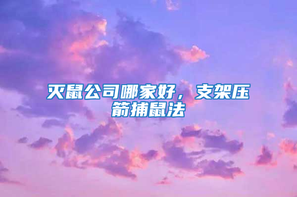 滅鼠公司哪家好，支架壓箭捕鼠法