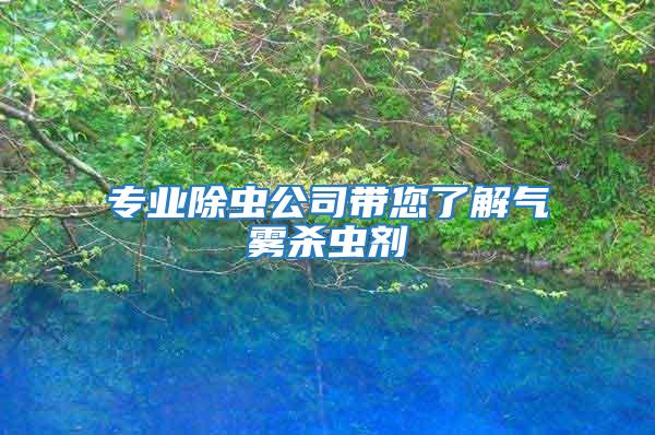 專業(yè)除蟲公司帶您了解氣霧殺蟲劑