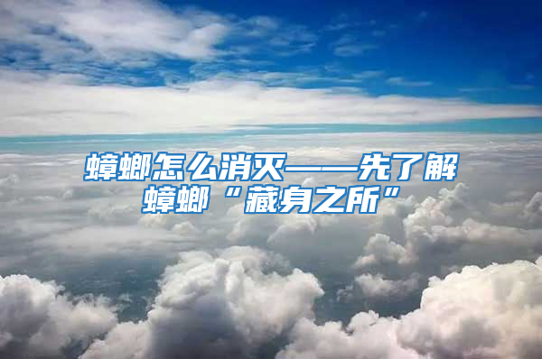 蟑螂怎么消滅——先了解蟑螂“藏身之所”