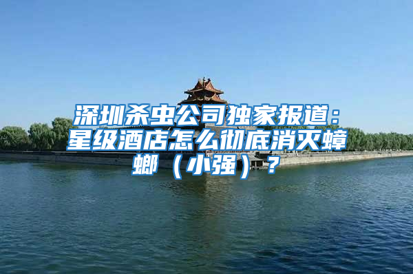 深圳殺蟲公司獨家報道：星級酒店怎么徹底消滅蟑螂（小強）？