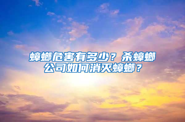 蟑螂危害有多少？殺蟑螂公司如何消滅蟑螂？