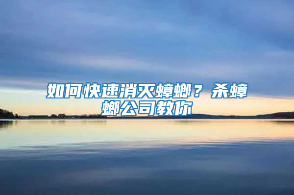 如何快速消滅蟑螂？殺蟑螂公司教你