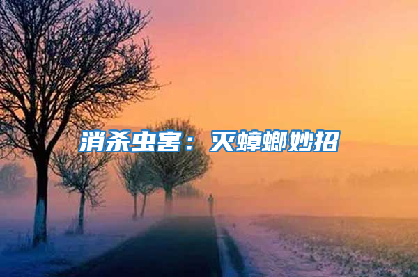 消殺蟲害：滅蟑螂妙招