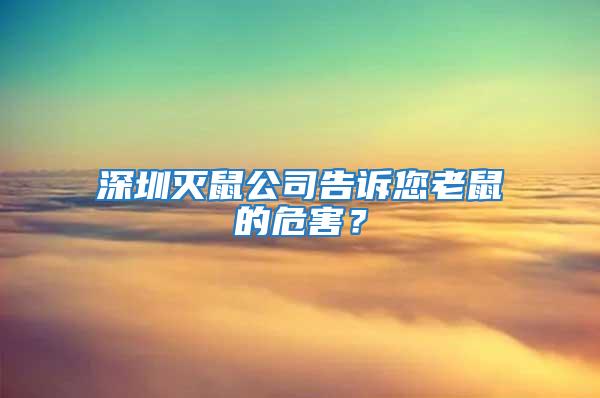 深圳滅鼠公司告訴您老鼠的危害？