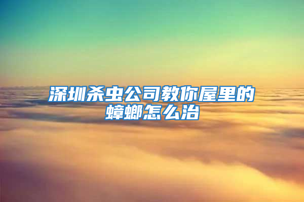 深圳殺蟲公司教你屋里的蟑螂怎么治