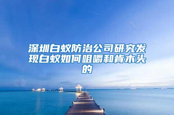 深圳白蟻防治公司研究發(fā)現(xiàn)白蟻如何咀嚼和肯木頭的