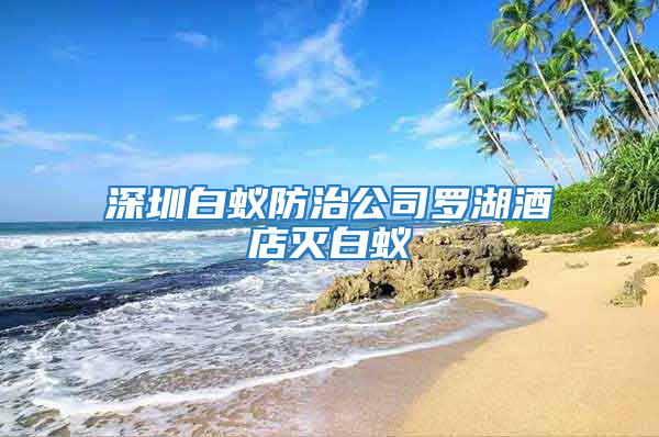 深圳白蟻防治公司羅湖酒店滅白蟻