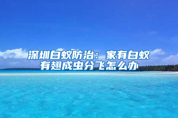 深圳白蟻防治：家有白蟻有翅成蟲分飛怎么辦