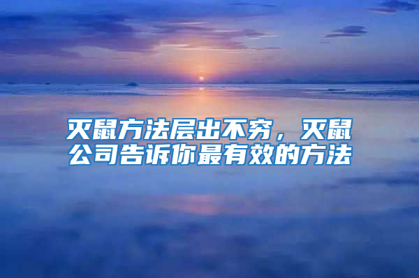 滅鼠方法層出不窮，滅鼠公司告訴你最有效的方法