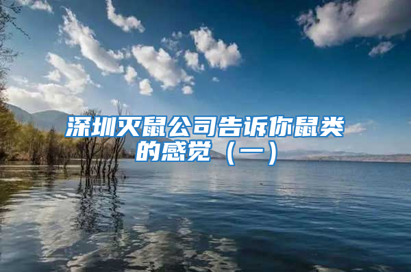 深圳滅鼠公司告訴你鼠類的感覺（一）