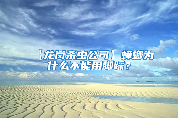 【龍崗殺蟲公司】蟑螂為什么不能用腳踩？