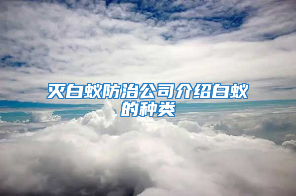 滅白蟻防治公司介紹白蟻的種類