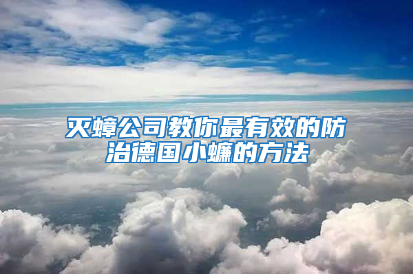 滅蟑公司教你最有效的防治德國(guó)小蠊的方法