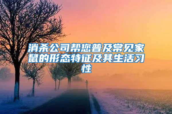 消殺公司幫您普及常見家鼠的形態(tài)特征及其生活習(xí)性