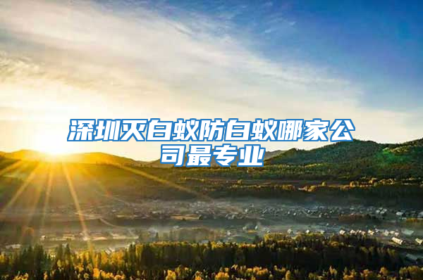 深圳滅白蟻防白蟻哪家公司最專業(yè)