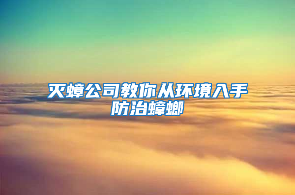 滅蟑公司教你從環(huán)境入手防治蟑螂