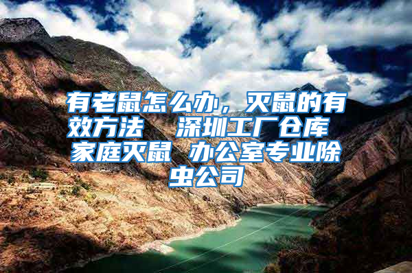 有老鼠怎么辦，滅鼠的有效方法  深圳工廠倉庫 家庭滅鼠 辦公室專業(yè)除蟲公司