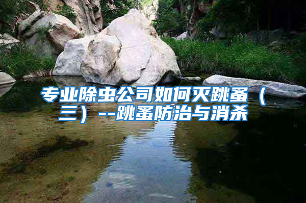 專業(yè)除蟲公司如何滅跳蚤（三）--跳蚤防治與消殺