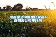 除四害公司哪里比較多？除四害公司排行榜