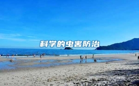 科學(xué)的蟲(chóng)害防治