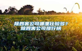 除四害公司哪里比較多？除四害公司排行榜