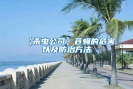 【殺蟲(chóng)公司】蒼蠅的危害以及防治方法