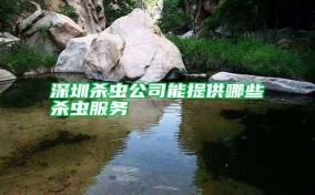 深圳殺蟲(chóng)公司能提供哪些殺蟲(chóng)服務(wù)