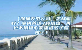 【深圳滅蟲(chóng)公司】怎樣驅(qū)蚊？室內(nèi)養(yǎng)這7種植物，再也不用擔(dān)心家里被蚊子騷擾了！